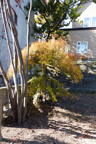 2013-10-19-1365xw375