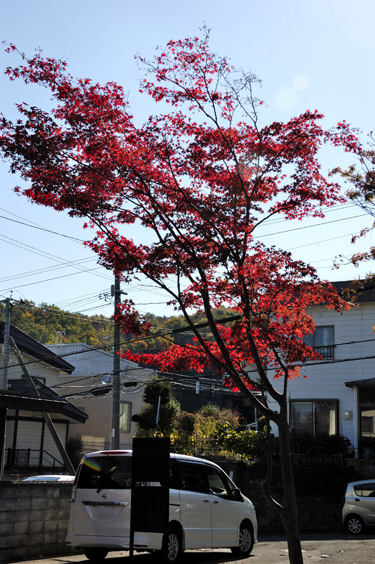2013-10-19-1368xw375