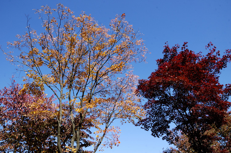 2013-10-19-1369xw750
