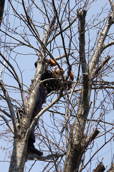2014-04-24-041xw375